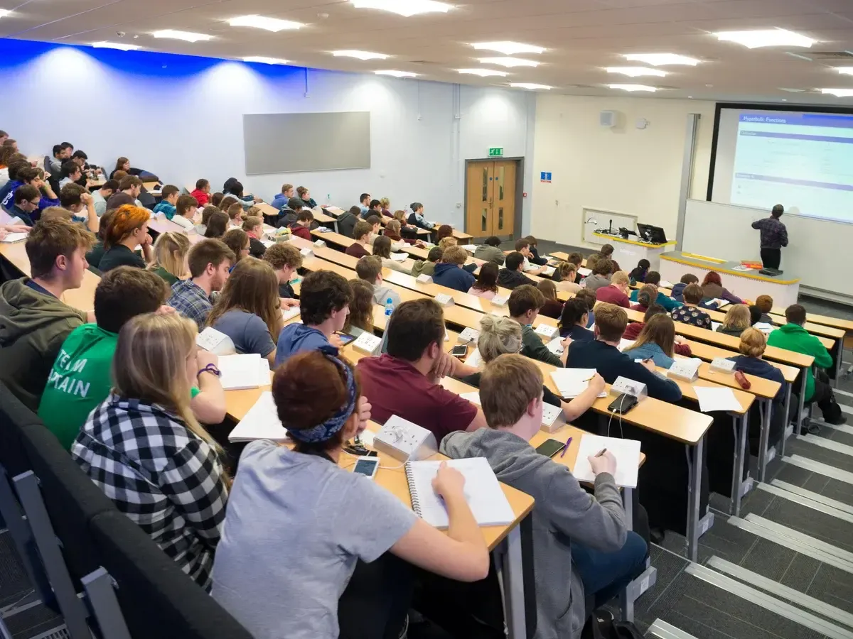 Instituto Damasi image